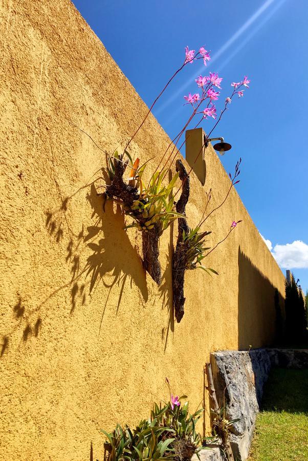 Sandunga Cabanas Boutique Tzintzuntzán Exteriör bild