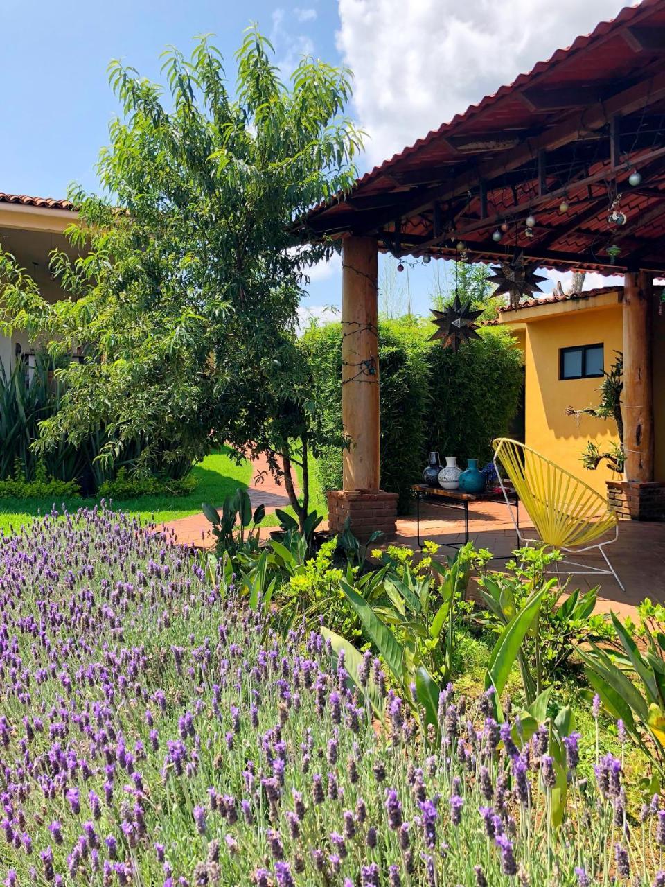 Sandunga Cabanas Boutique Tzintzuntzán Exteriör bild